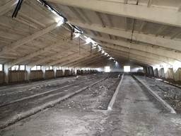 Клюшечник Ангар