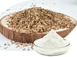 Книдиум Моньер, Cnidium Monnier