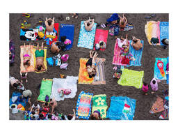 Книга по фотографии Martin Parr: Beach Therapy фотоискусство альбомы известных. ..