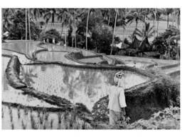 Книги о фотографах Эдвард Стейхен Edward Steichen. The Family of Man фотоискусство. ..