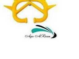 Кольцо против самовыдаивания, большое