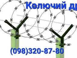 Колючая проволока Егоза