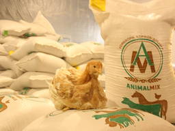 Комбикорм для курей несушек, кур. Комбікорм для кур несучок,