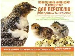Комбікорм для перепелів ТМ Калинка