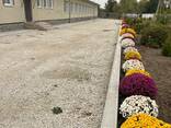 Комерційна нерухомість - фото 1
