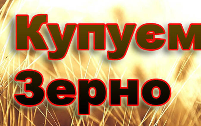 Компания покупает пшеницу. Всех классов