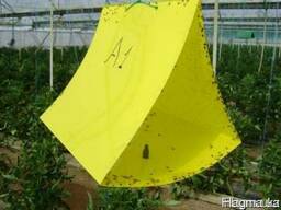 Комплект феромонной ловушки Дельта 60х25см