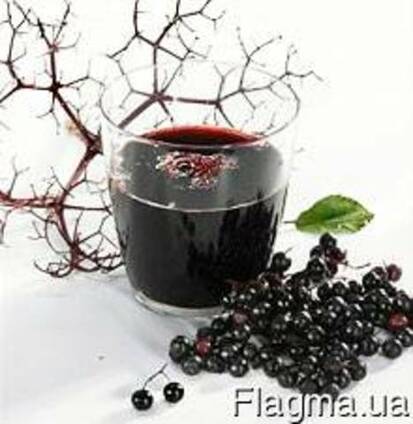 Концентрированный сок бузины