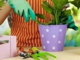 Консервант флористичний для зрізаних квітів PreFlower 1 л
