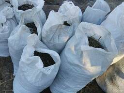 Конский навоз