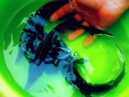 Консультация опытного рыбовода!