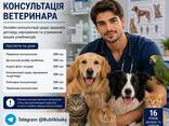 Консультація ветеринара ( Онлайн ) - фото 1