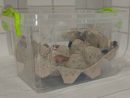 Контейнер для содержания насекомых, переноска для рептилий