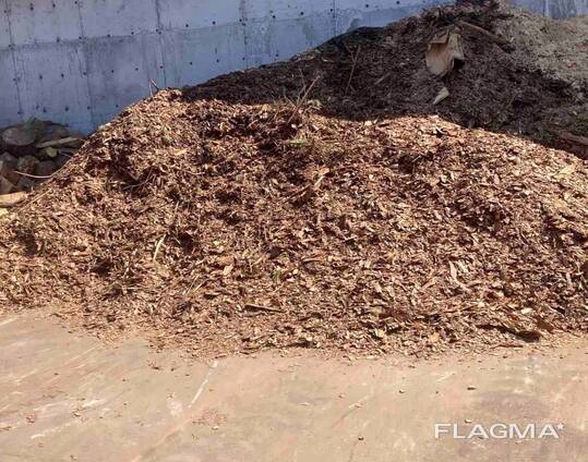 Кора соснова