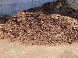 Кора соснова