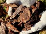 Кора соснова середня (3-6см. ) - фото 2