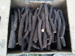 Корень живокоста