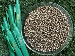 Коріандр Оксаніт