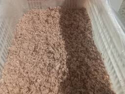 Корм зі свинного шлунку для собак, качок, курей