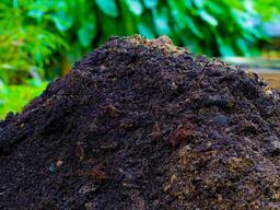 Навоз, гній коровячий. Добриво для городу