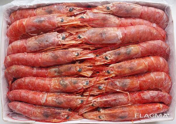 Креветка королевская Langostino Austral 10/20 L1 2кг