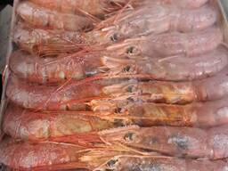 Креветка королевская Langostino Austral 20/30 L2 2кг