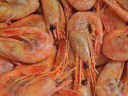 Креветка варено мороженые 80/100 Канада