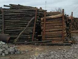 Кругляк хвойных и твердых пород древесины