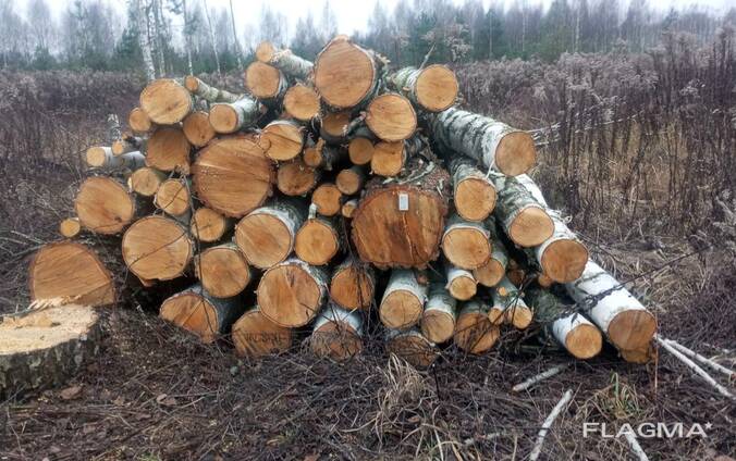 Круглі дрова (берез)