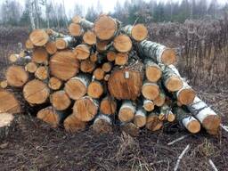 Круглі дрова (берез)