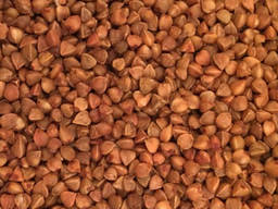 Крупа гречневая