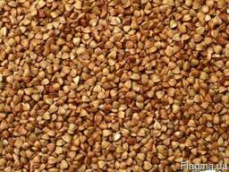 Крупа гречневая, гречка