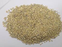 Крупа перловая оптом