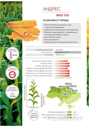 Кукурудза Андрес ФАО 350