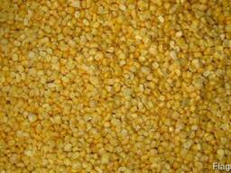 Кукурудза "Бондюель" супер солодка