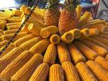 Кукуруза замороженная початок - фото 1