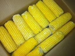 Кукуруза сладкая. Кукуруза в кочанах, овощная смесь, кабачок