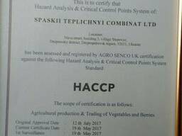 Кукуруза суперсладкая замороженная бланшированная