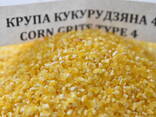 Corn grits in assortment - фото 1