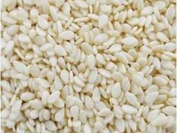 Кунжут белый 99,95%