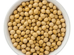 Купим срочно желтый горох, экспорт, фоб, 2-3 тысячи тонн