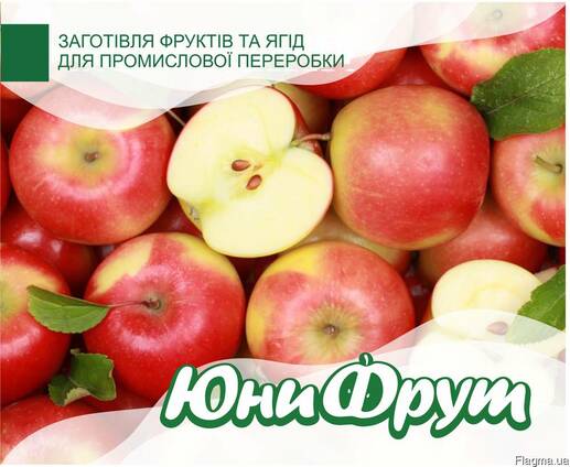 Купим яблоки и груши оптом