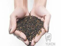 Купим зерно рапса.