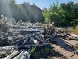 Купить дрова березы кругляк 1- 2-х метровки по Киеву и области