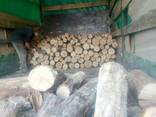 Купить дрова кругляк метровки, чурки дуб, акация Киев - фото 1