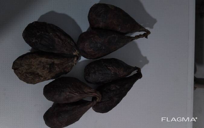 Куплю боброву струю