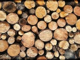 Куплю дрова оптом