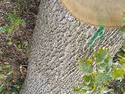 Куплю дрова