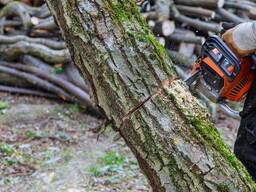 Куплю дрова