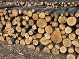 Куплю дрова!!! - фото 1